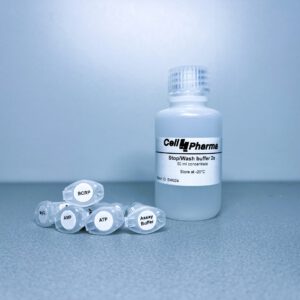 MRP5 vesicle kit ABCC5