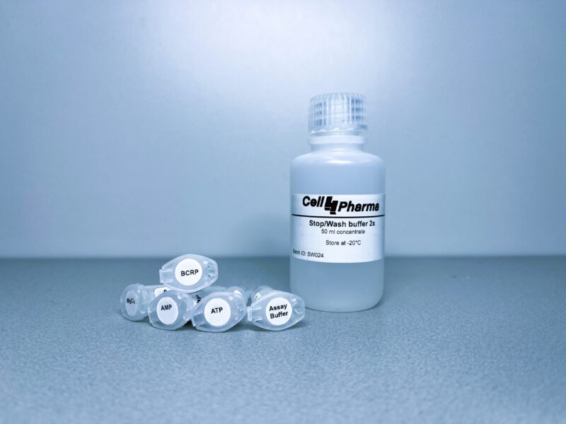 MRP5 vesicle kit ABCC5